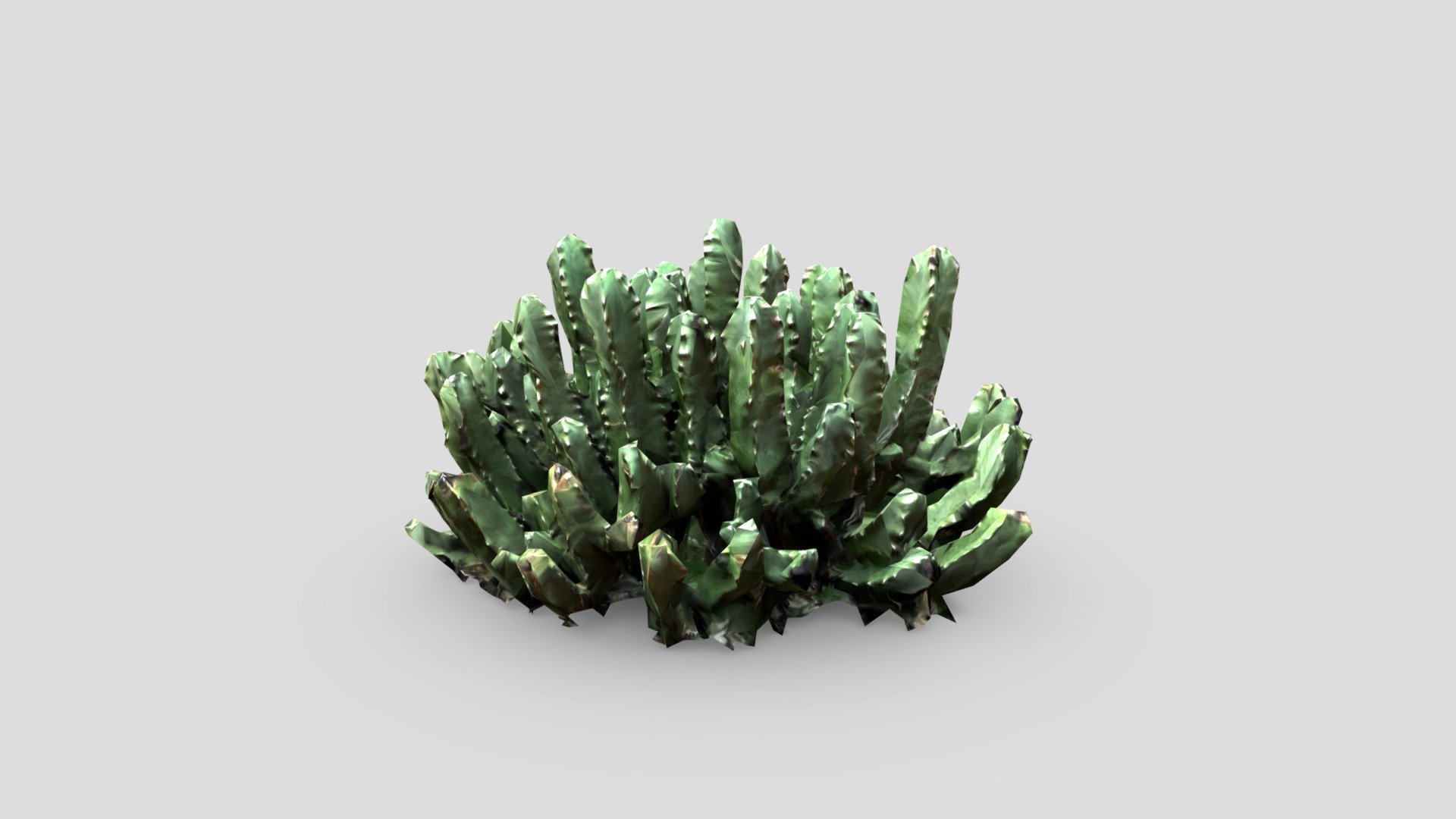 Cactus Photoscan - Buy Royalty Free 3D model by Alex Safayan ...