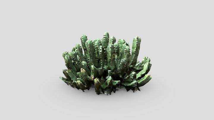 Cactus Photoscan 3D Model