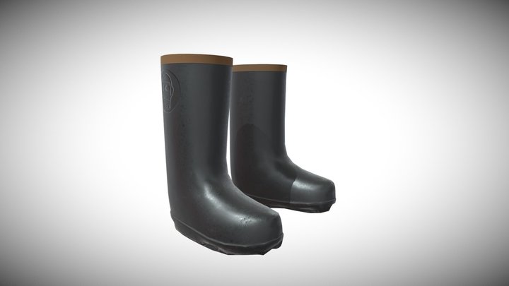 boot_Extract2_1 3D Model