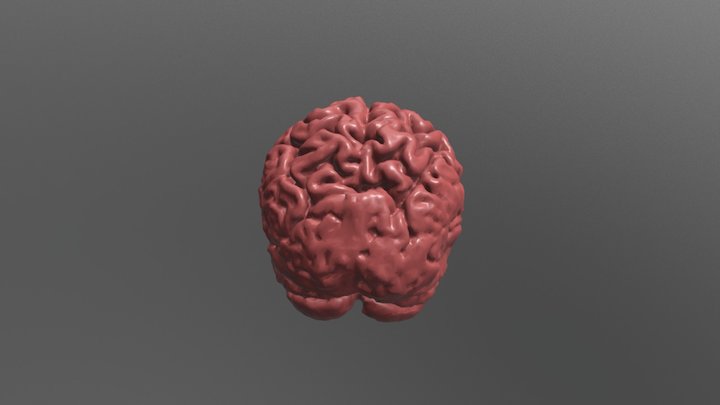 3DP Core Brain 3D Model