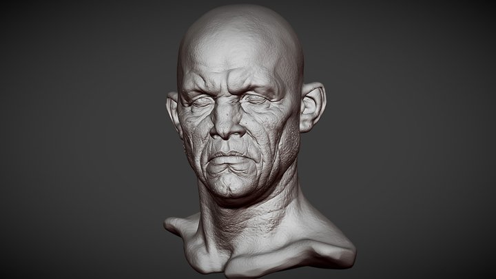 Head 7 from Heads Bundle 2 3D Model
