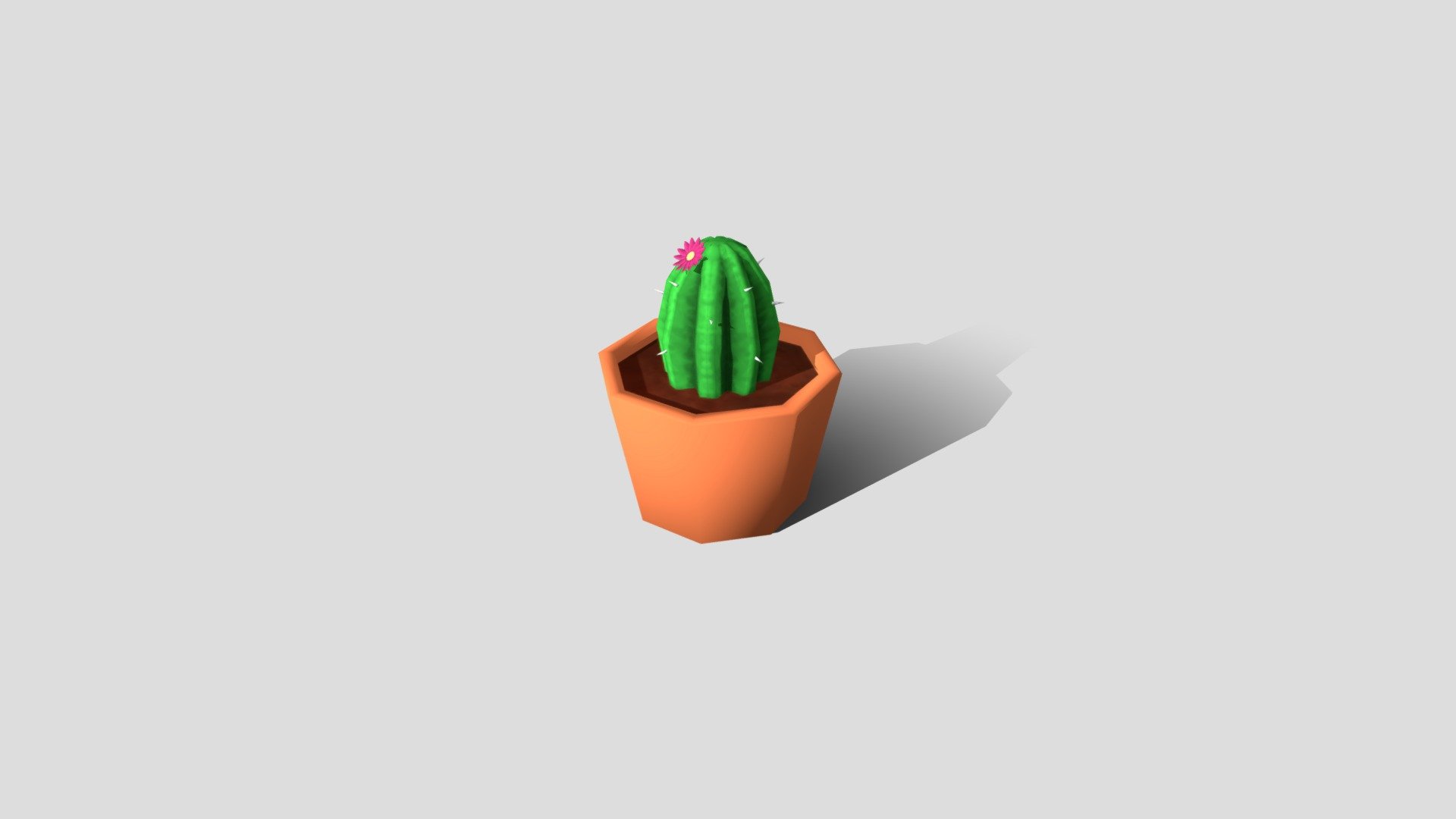 Home cactus