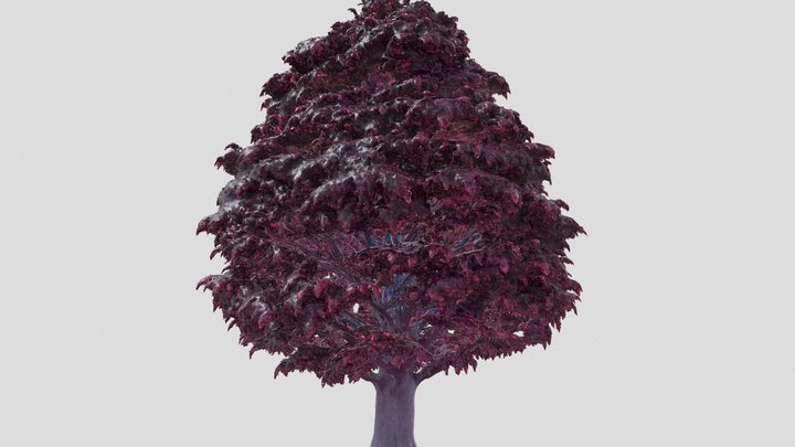 Ancient_[X]_Tree-Sixth_One