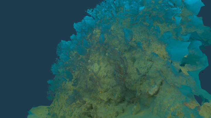 Project Punta Manara - Site wall 1 3D Model