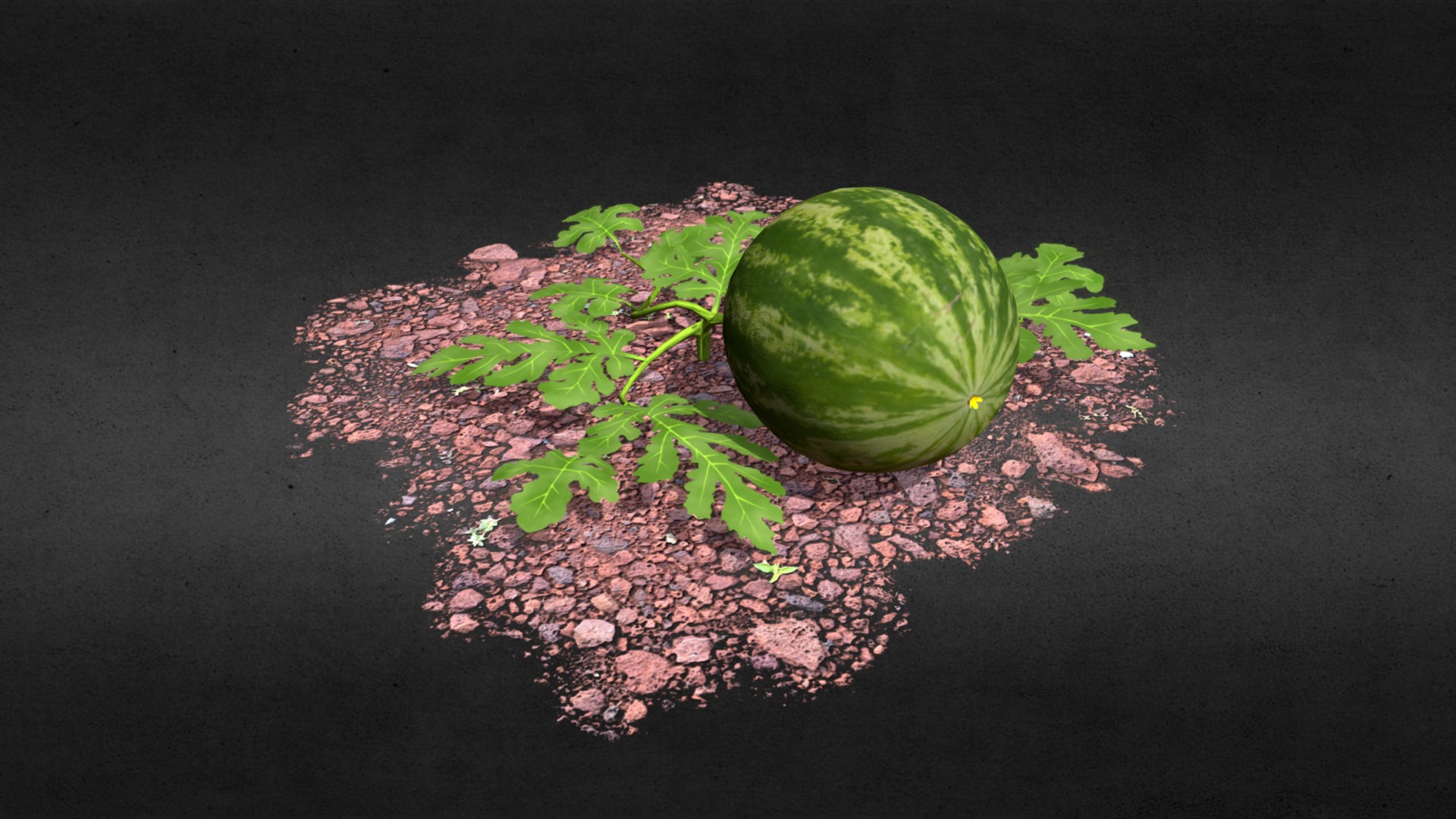 3D model Watermelon - This is a 3D model of the Watermelon. The 3D model is about a watermelon on a black surface.