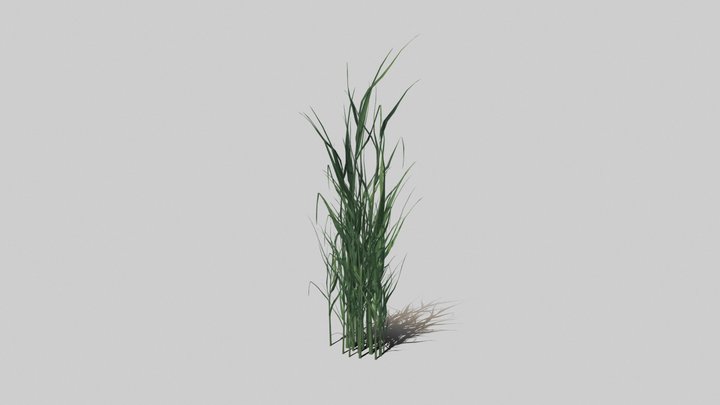 Lump Grass 3D Model