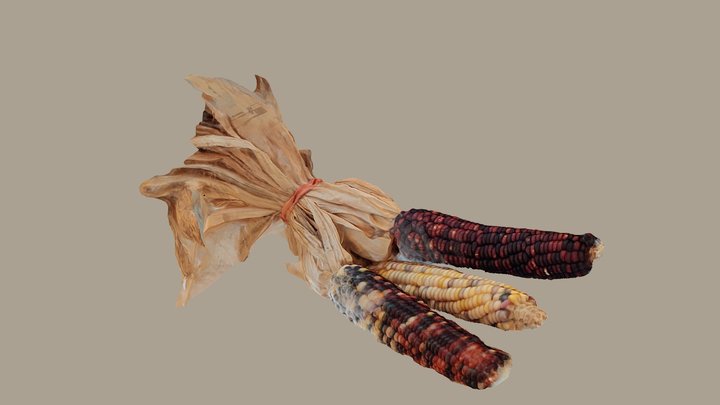 Corn cobs 3D Model