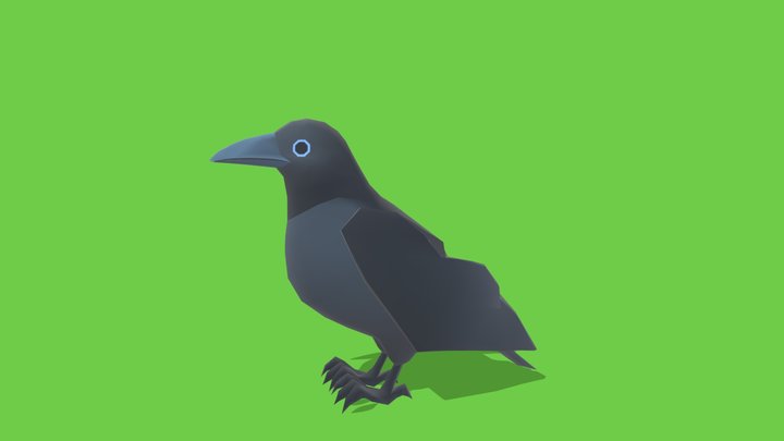 Crow - Animated Low Poly