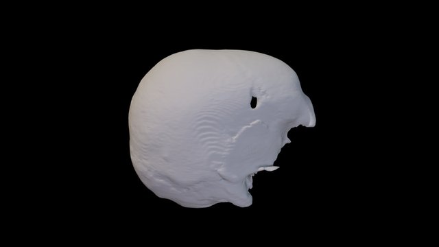 CT scan of an ancient skull 3D Model