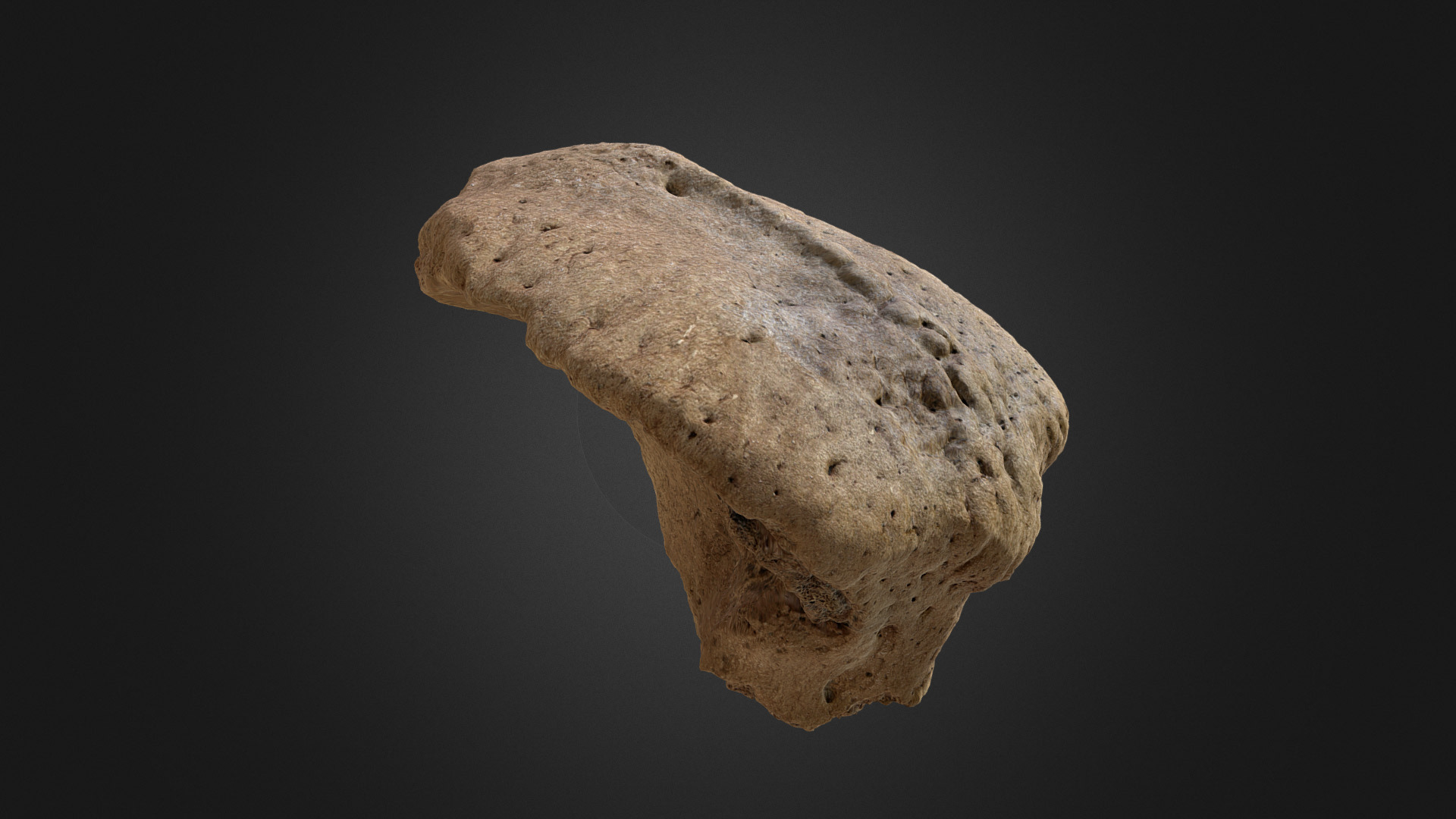 3D model Woolly Rhino Nose - This is a 3D model of the Woolly Rhino Nose. The 3D model is about a stone with a dark background.
