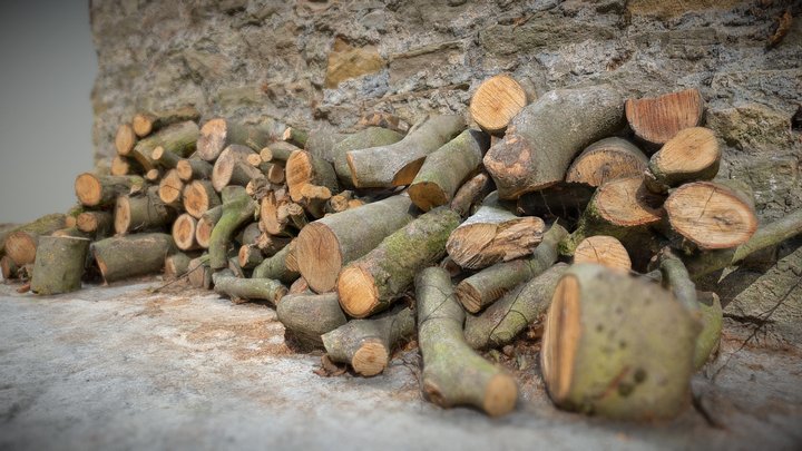 Logs