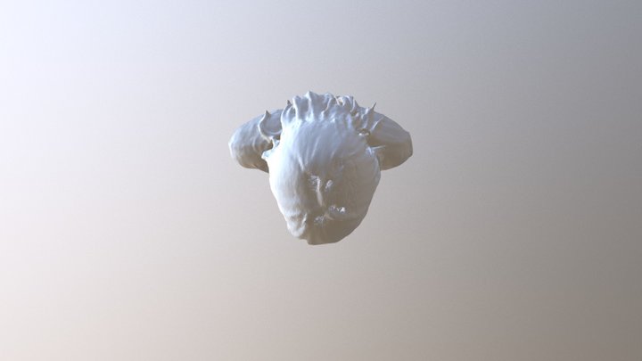 Donna 3D Model