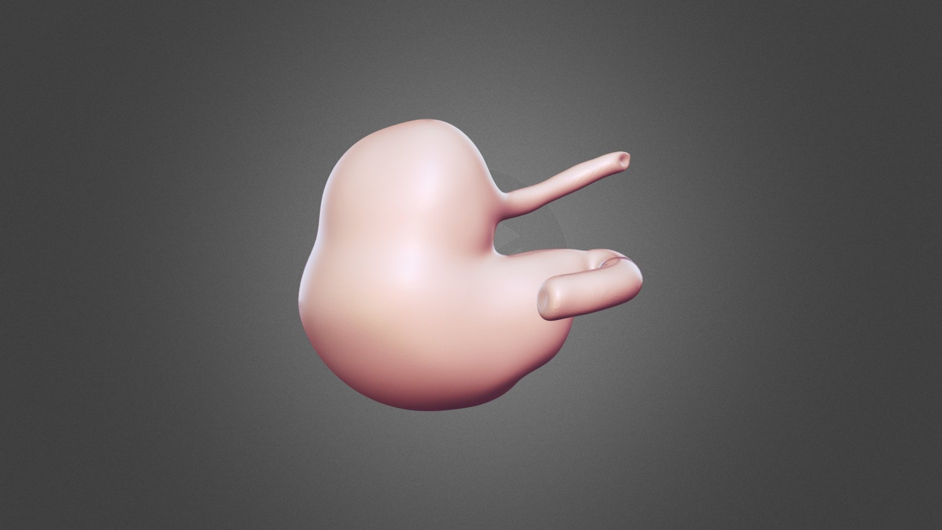 Horse Stomach-4