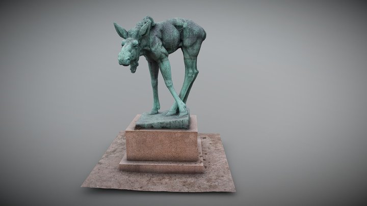 Nuori Hirvi 3D Model