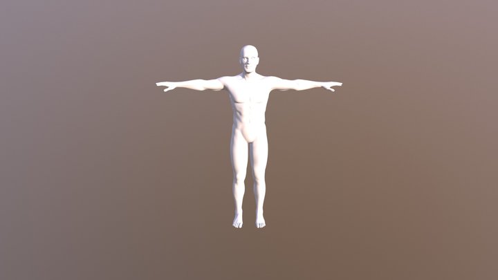 Basic Human Hi Poly 3D Model