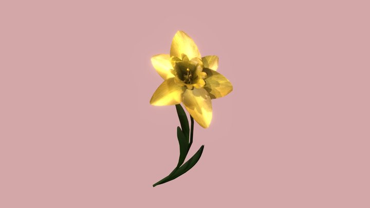 Daff 3D Model