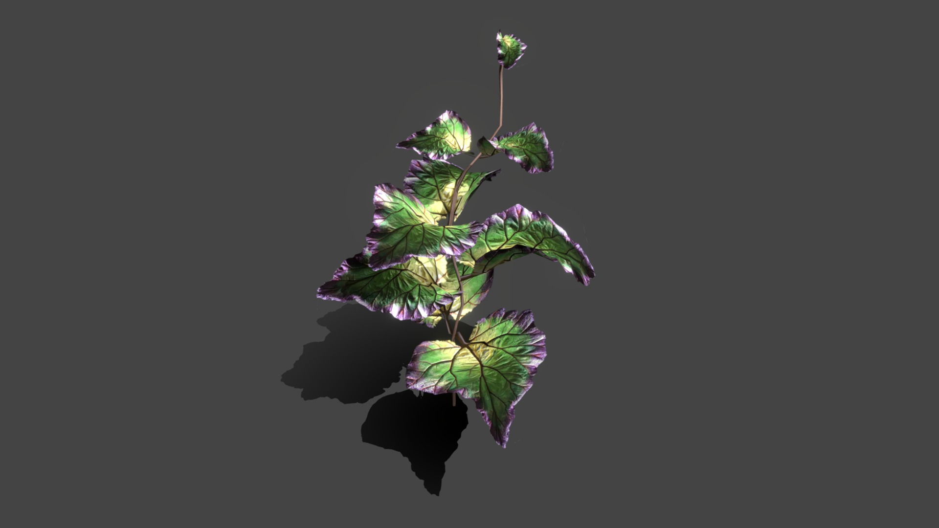 3D model Plant tropic - This is a 3D model of the Plant tropic. The 3D model is about a plant with leaves.