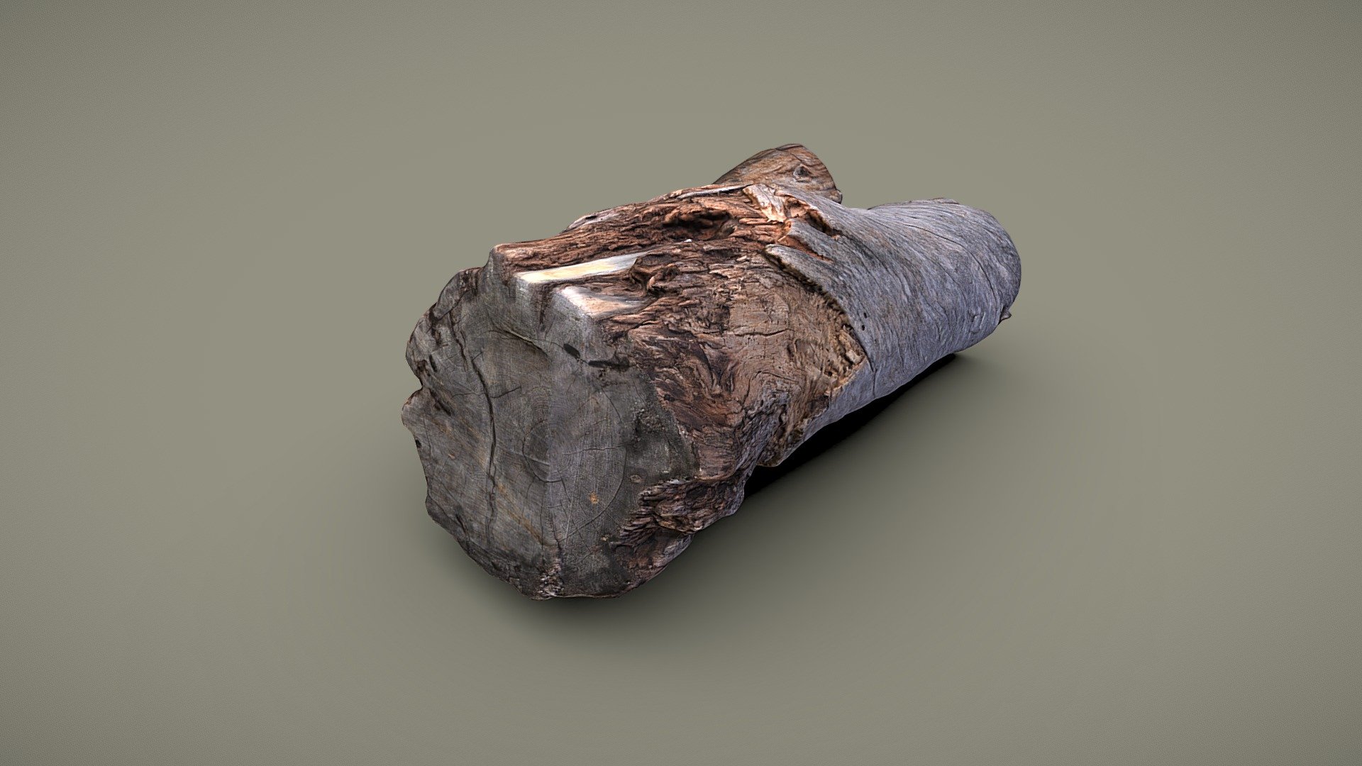 Cut deadwood