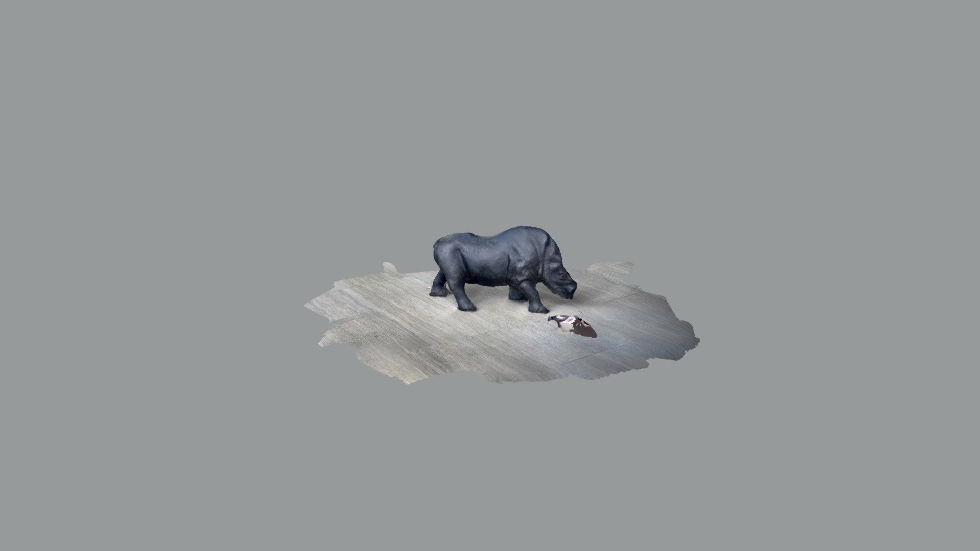 Rhino