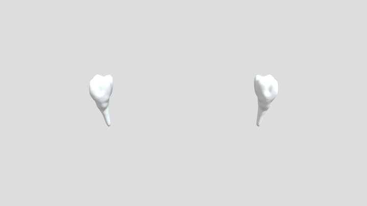 Melva Mitchell Gray Chiropractic Skull 3D Model
