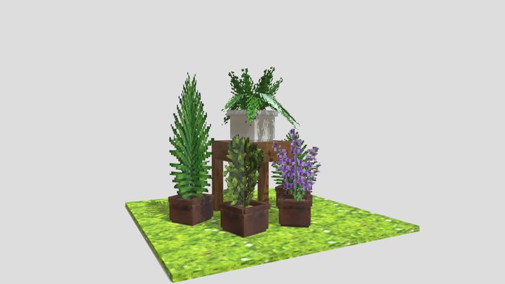 Plant 3D Model