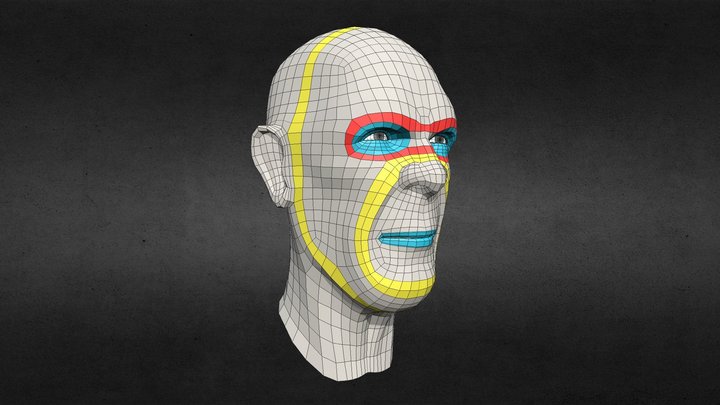 Head _topology 3D Model