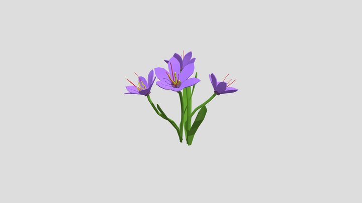 saffron 3D Model