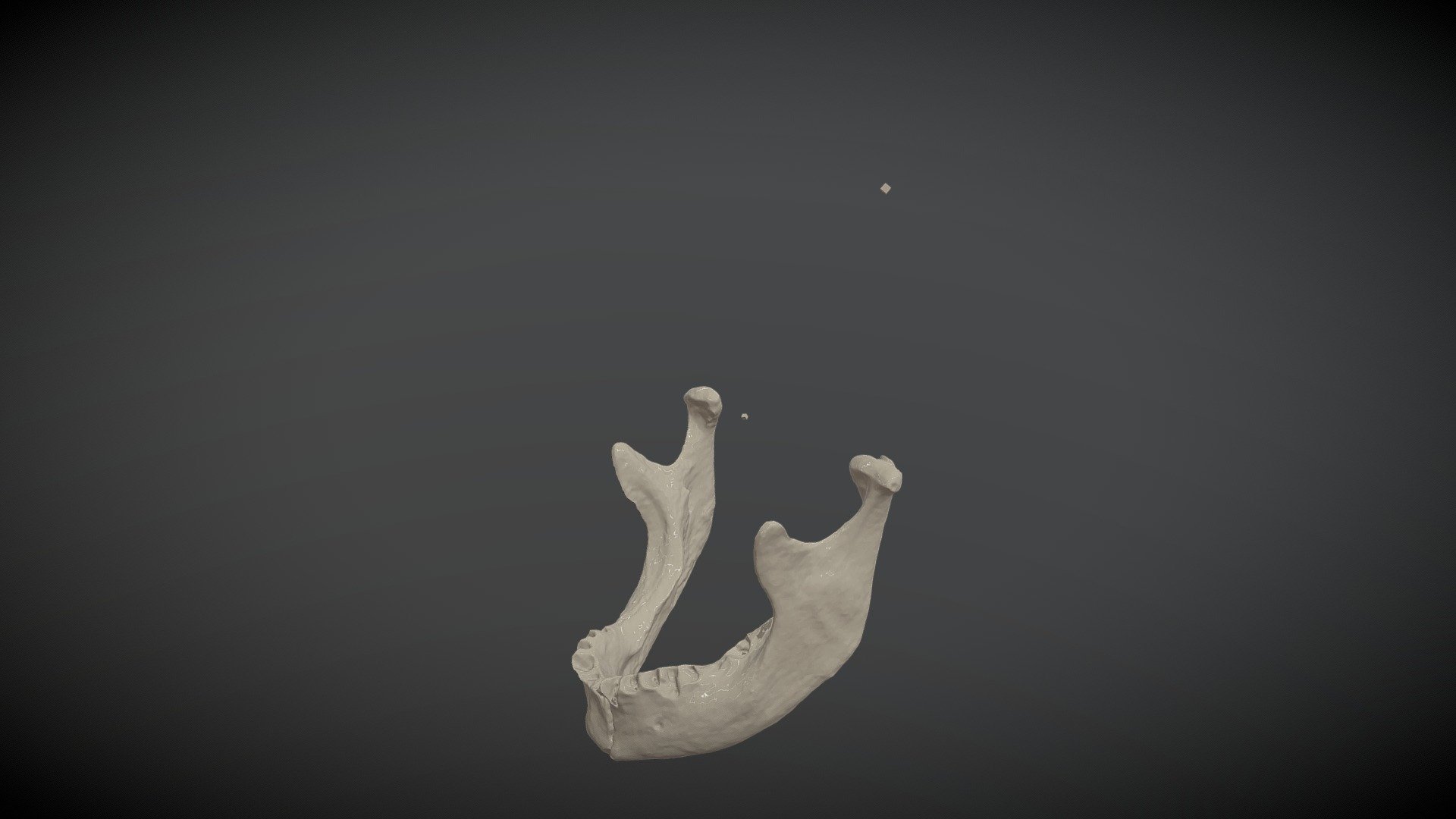 Strapkova_mandibula - 3D model by LBA_OBA [f0cea8b] - Sketchfab