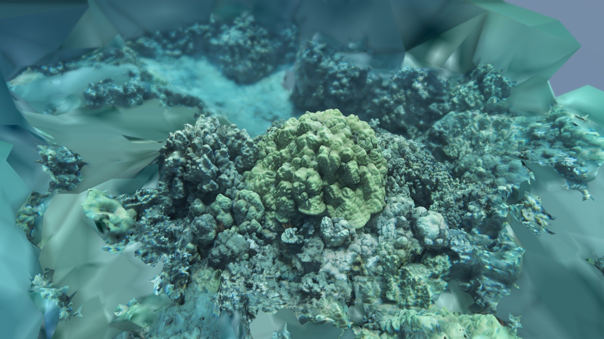 Ulua_Coral_2_8-4-18