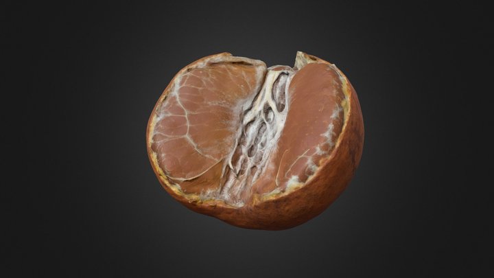 Orange 3D Model