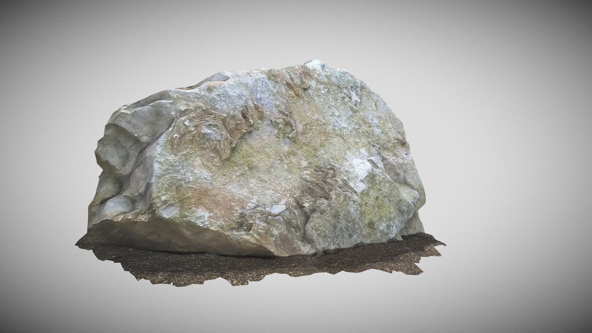 Crinoidrich block of Oriskany sandstone, WVGES Download Free 3D