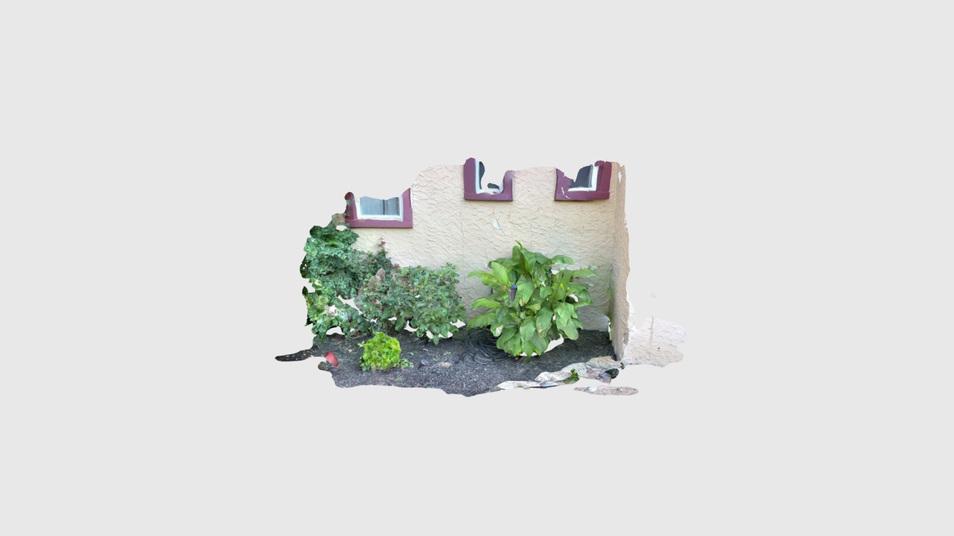 Garden, plants