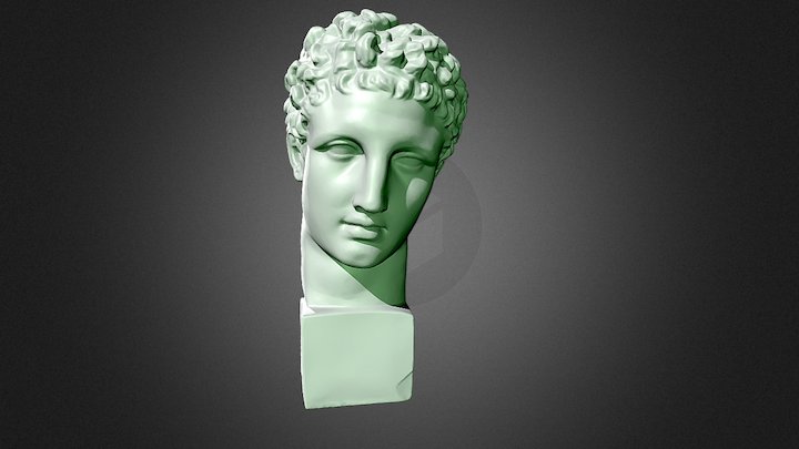 Bust of Alexander the Great 3D Model