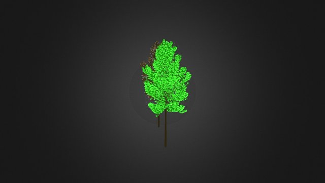 Tree_1 3D Model