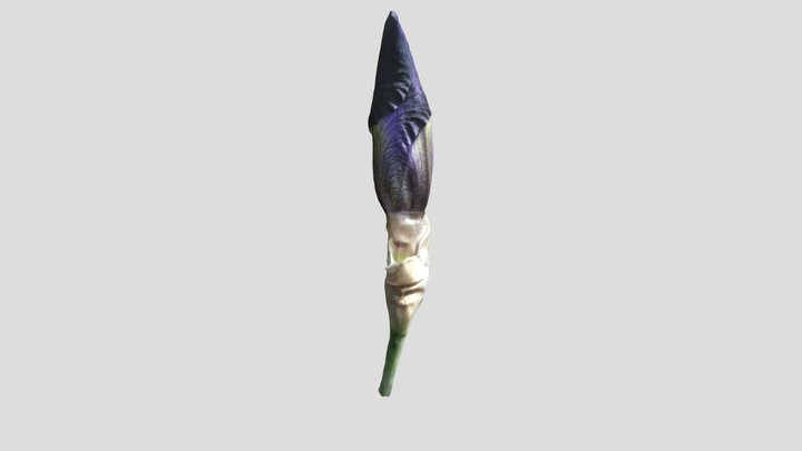 Bearded Iris Bud Kiri Canon R7 mask – Modèle 3D gratuit STL