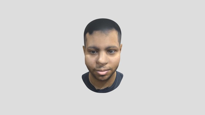head 3D Model