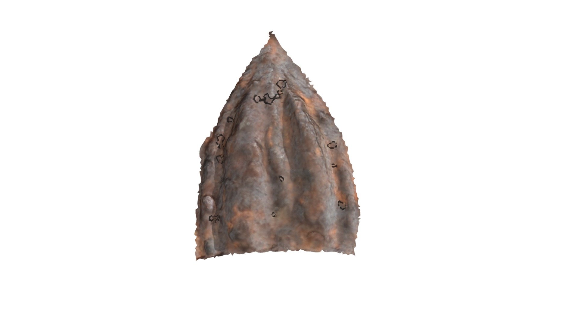 C16 - aurochs MNIR