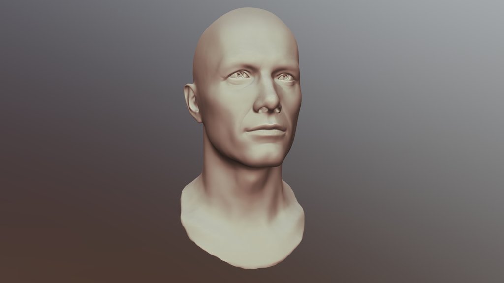 Heads - A 3d Model Collection By Specularworld - Sketchfab