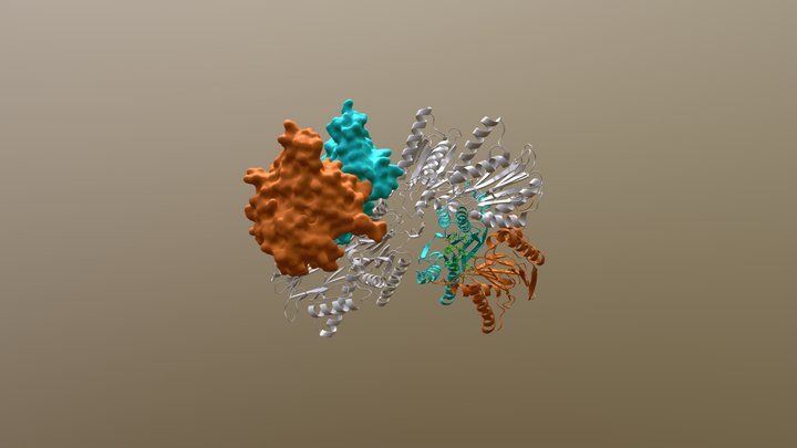 20S Proteasome Core + 'Compound 1' Inhibitor 3D Model