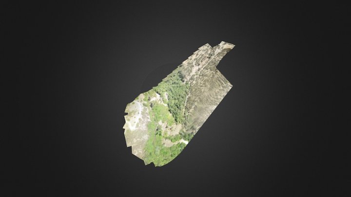 Aguas Lluvias (c) 3D Model