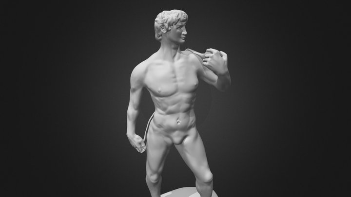 David Statue