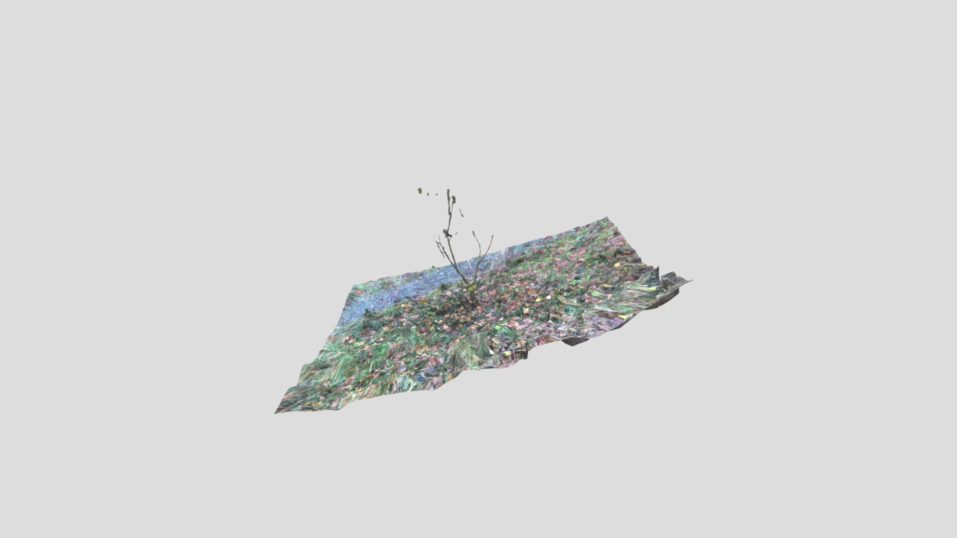 ground in forest nature scene - 3D model by Marco Fischer (@a2e ...