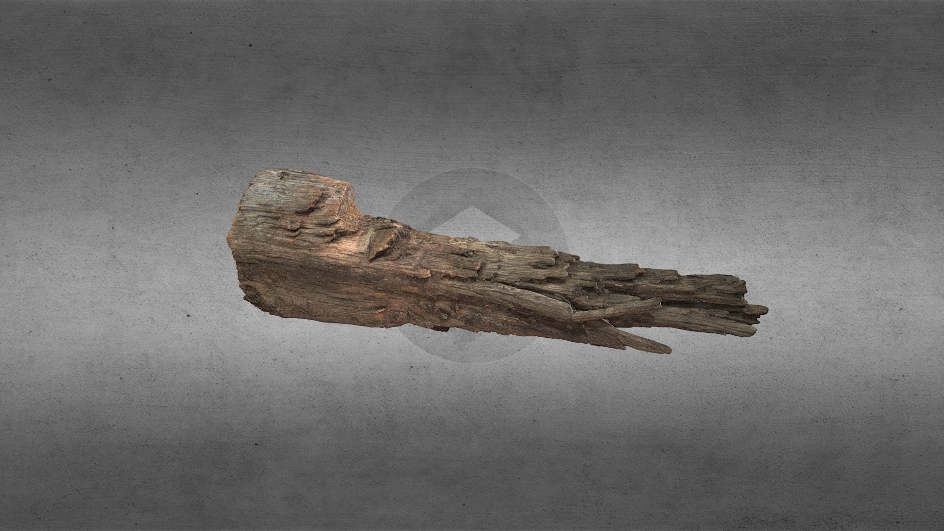 Skipsvrak, Træ 22