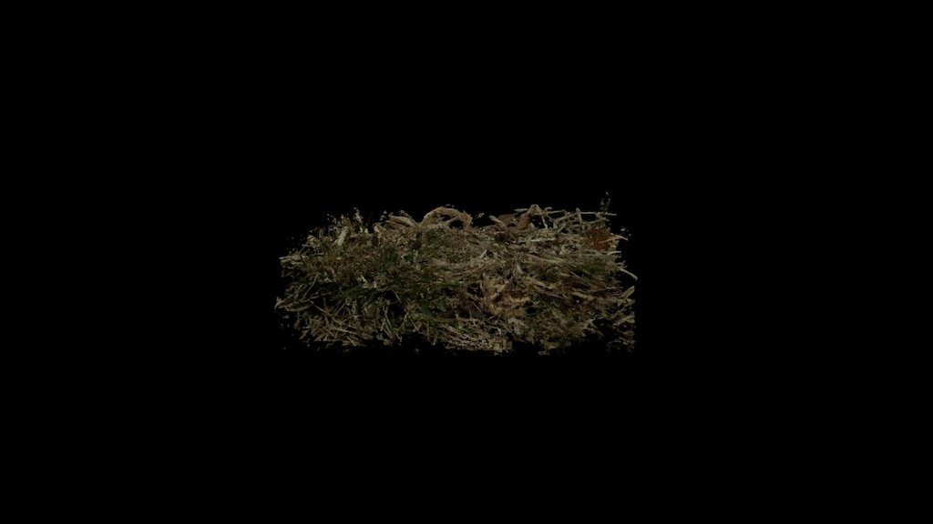 Small Grass1 Export