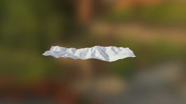 Topography 3D Model