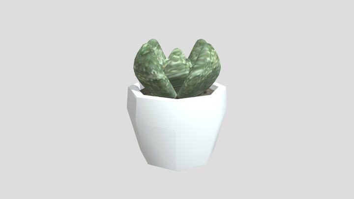 [CC0] Plant 3D Model