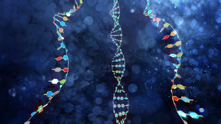 DNA, RNA Animated Visualization