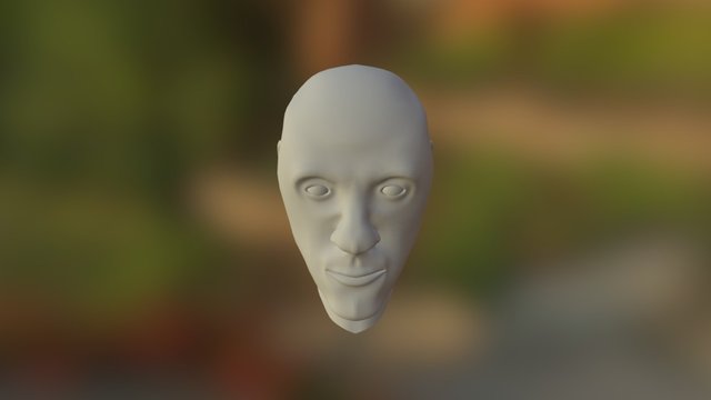 Someone's Head 3D Model