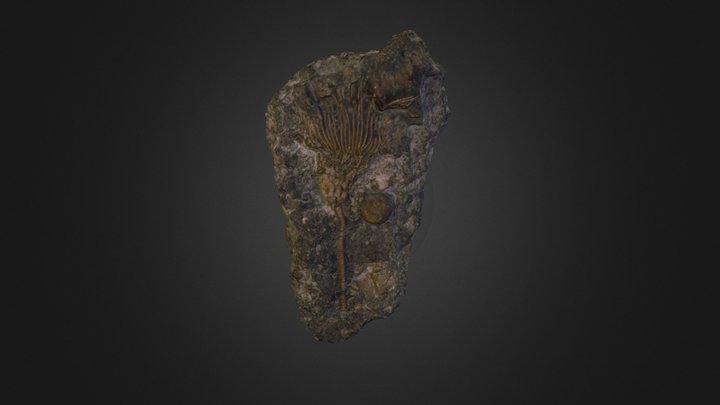 GSM 104329 3D Model