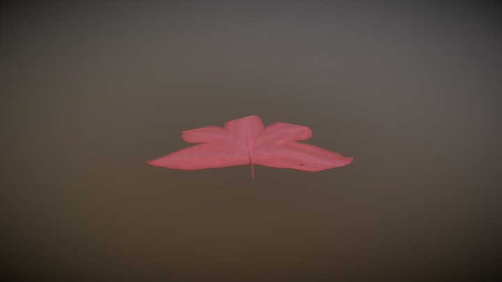 Leaf 1 3D Model